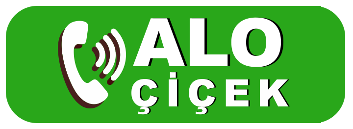 Antalya Ankastre Servisi